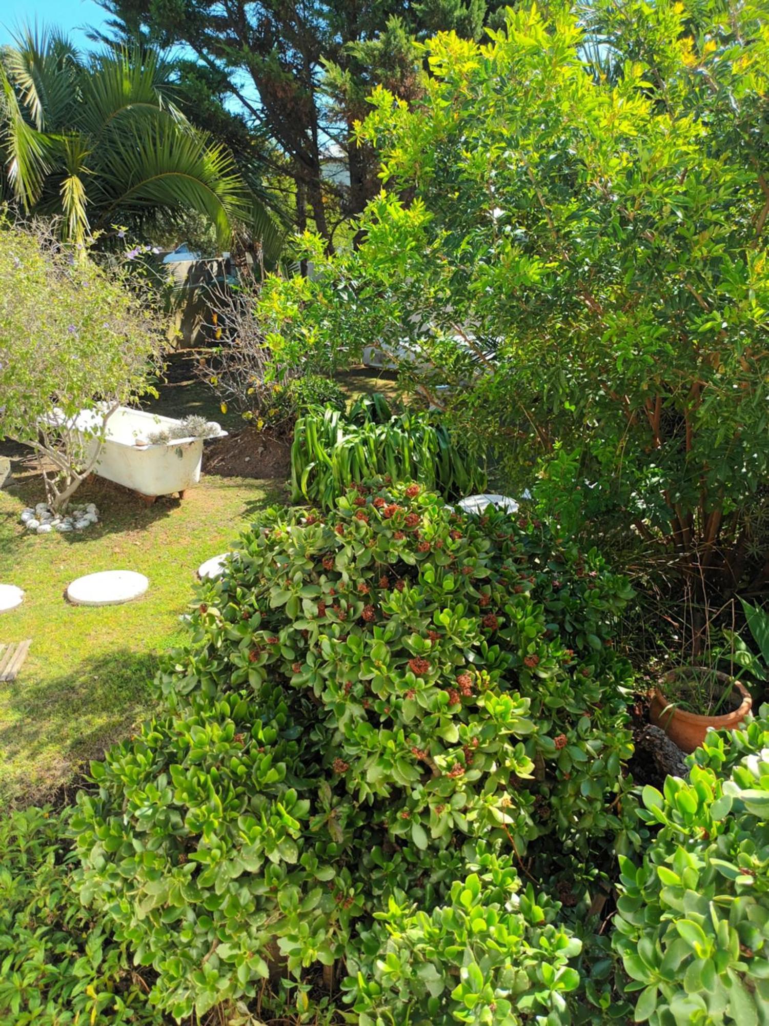 Self Catering Unit 6, Sandbaai Hermanus Oda fotoğraf